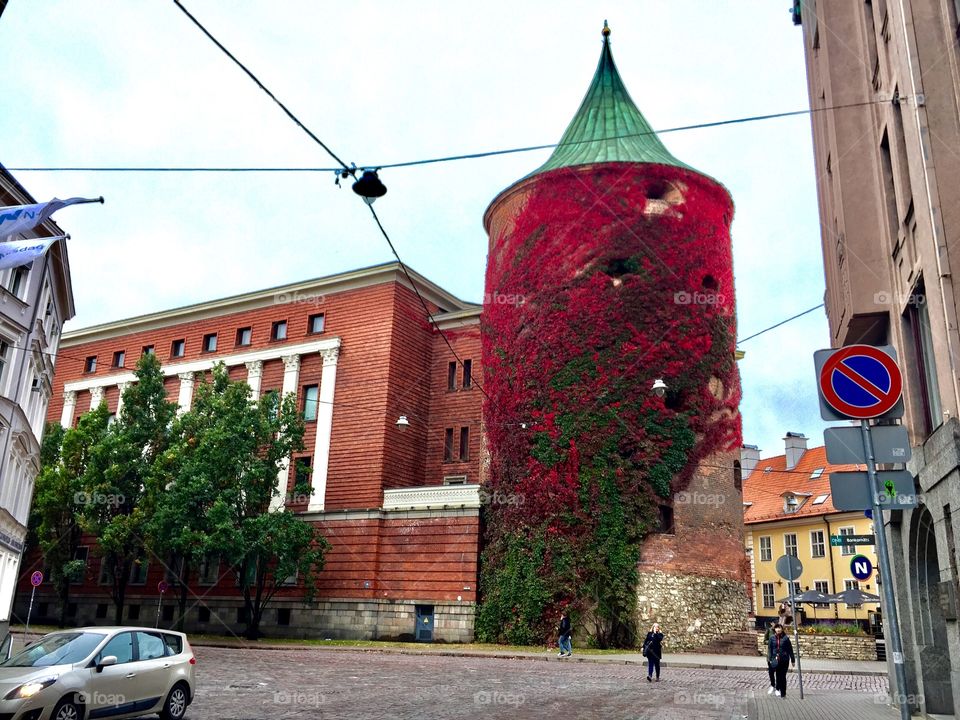Old building cover with plant at Riga 