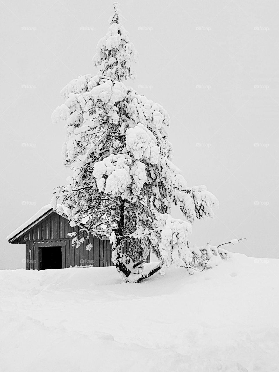 One smal house om the top of ski mountain in Sweden