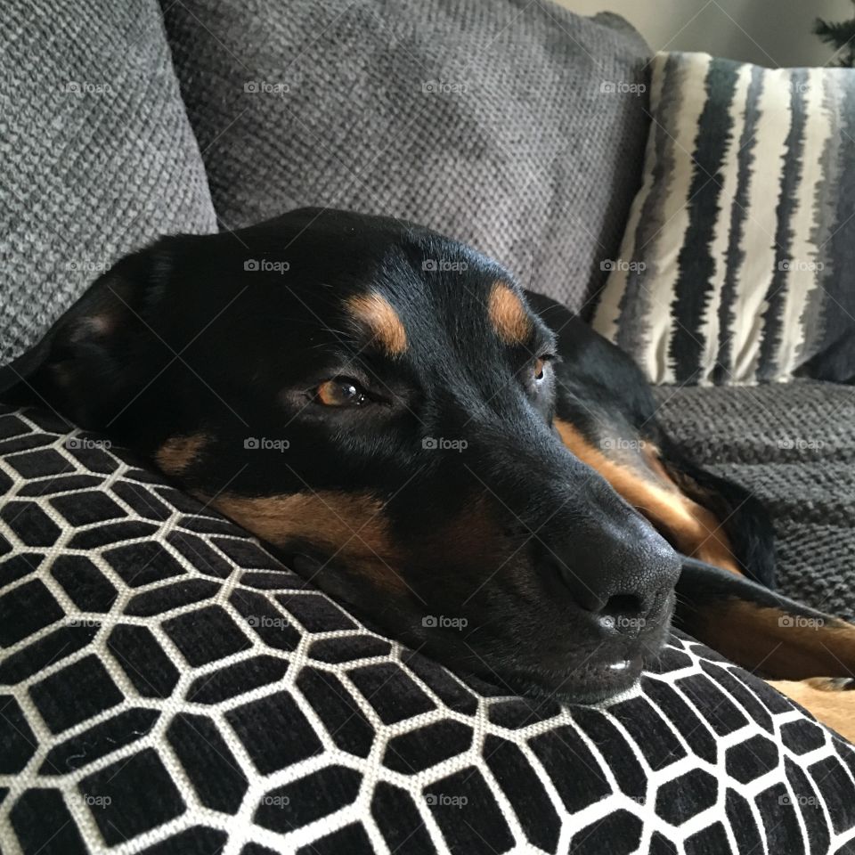 Jake smirking! Who knows what he's thinking about 