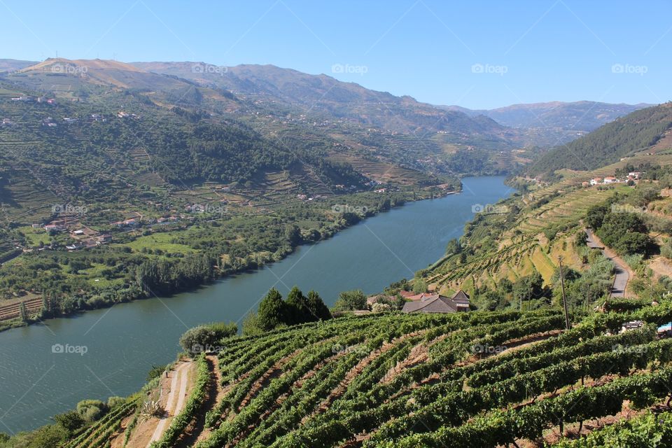 Douro Valley, famed for the grape source of the fortified wine Port, is probably the most striking and majestic wine region in the world in terms of natural beauty. #Douro #UNESCO #Portugal