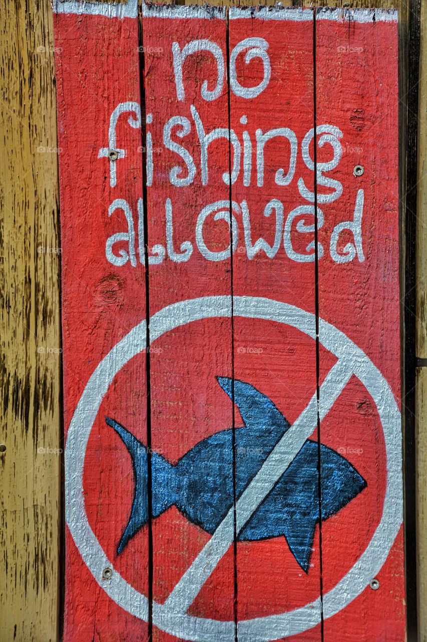 Sign fishing allowed or not?