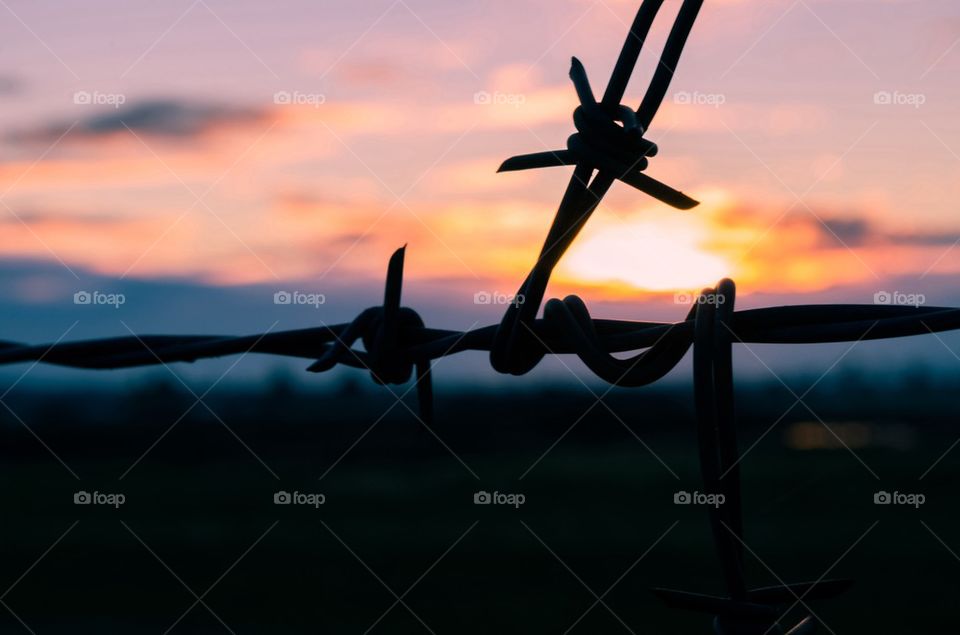 Barbed Sunset