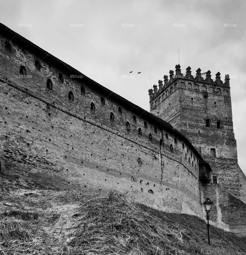 architecture: the old castle in black and white