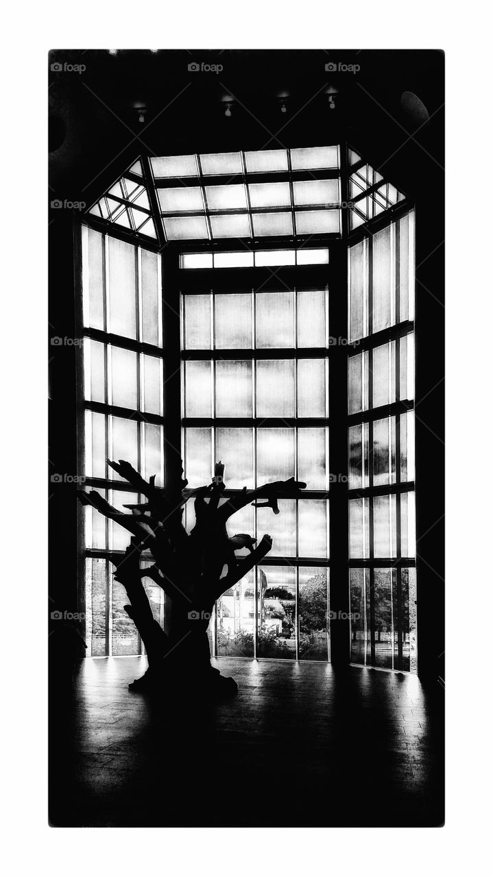 Silhouette, No Person, Architecture, People, Monochrome