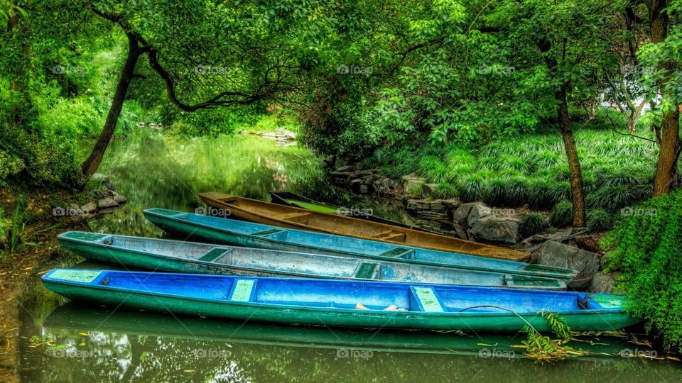 boat in forest