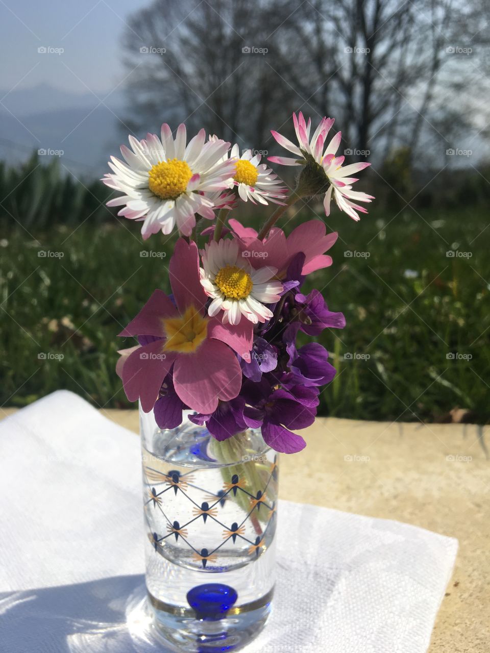 Little spring flowers from garden, to share with everyone hoping