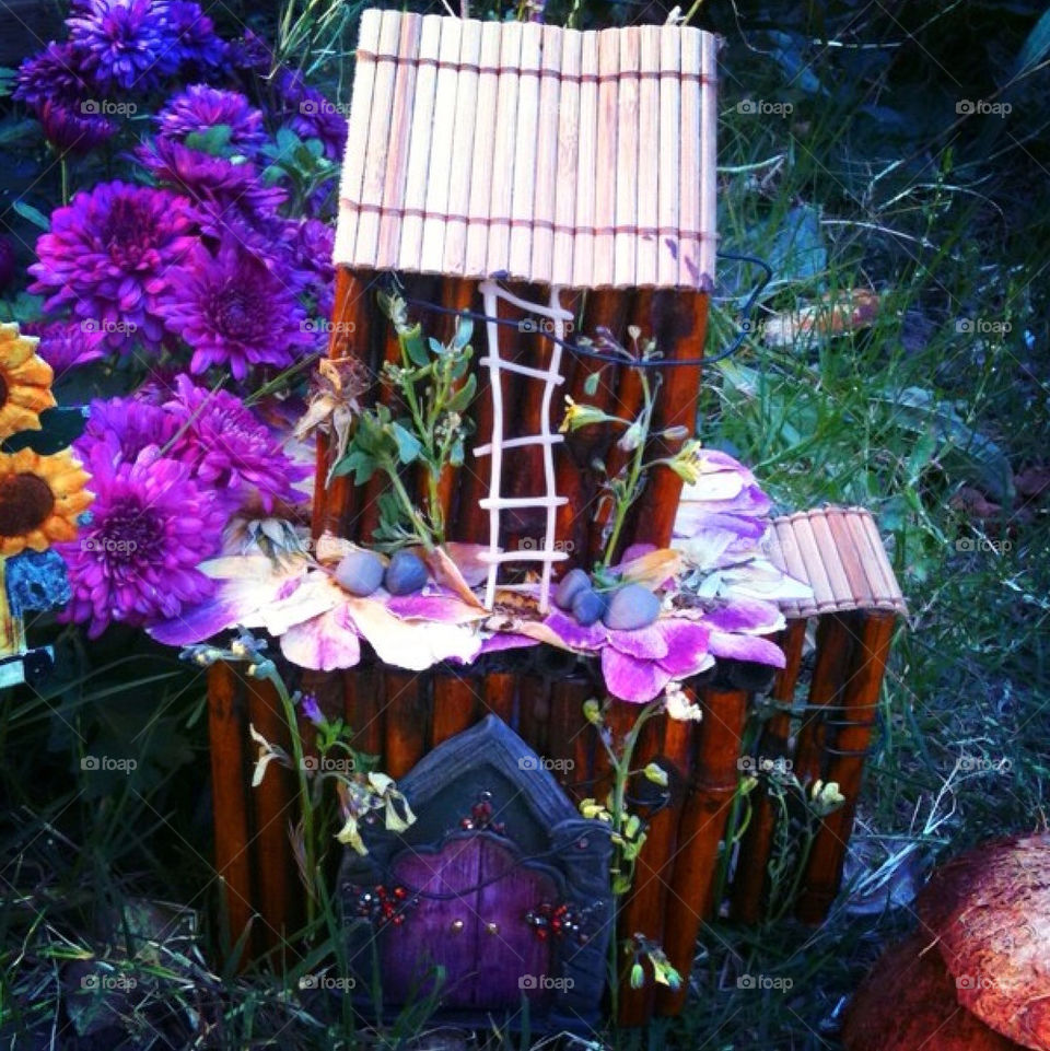 FAIRY HOUSE