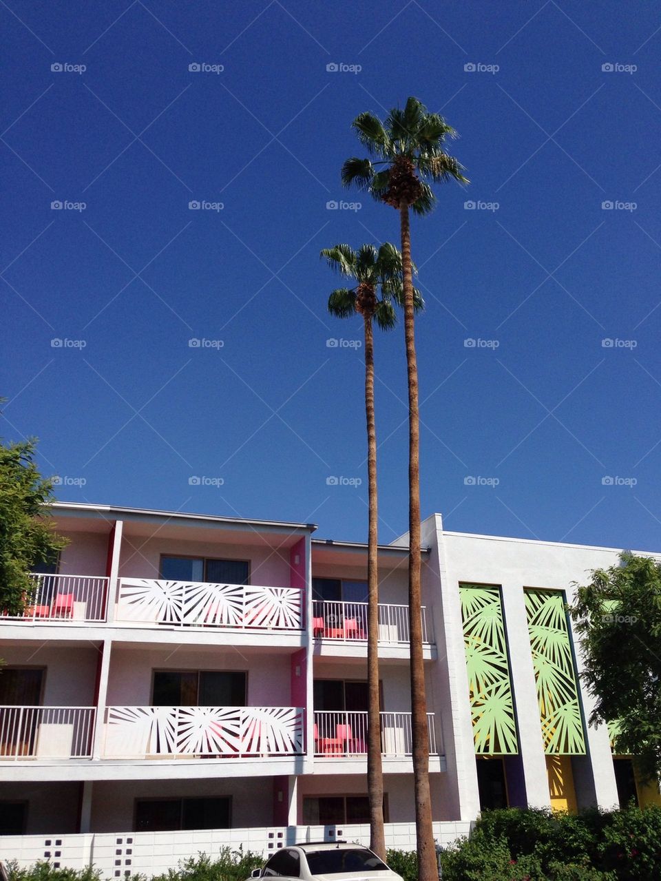 Retro Apartments in a Palm Springs