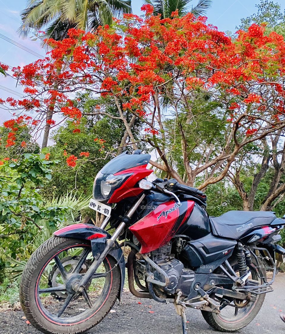 Spring: red makes perfect