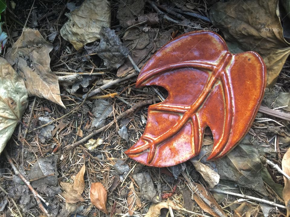 Handcrafted ceramic leaf rests among its natural brothers.