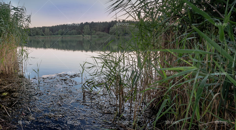 Wakacje 2018, Zaborowo, Leszno, Poland