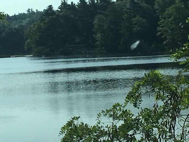Lake view 