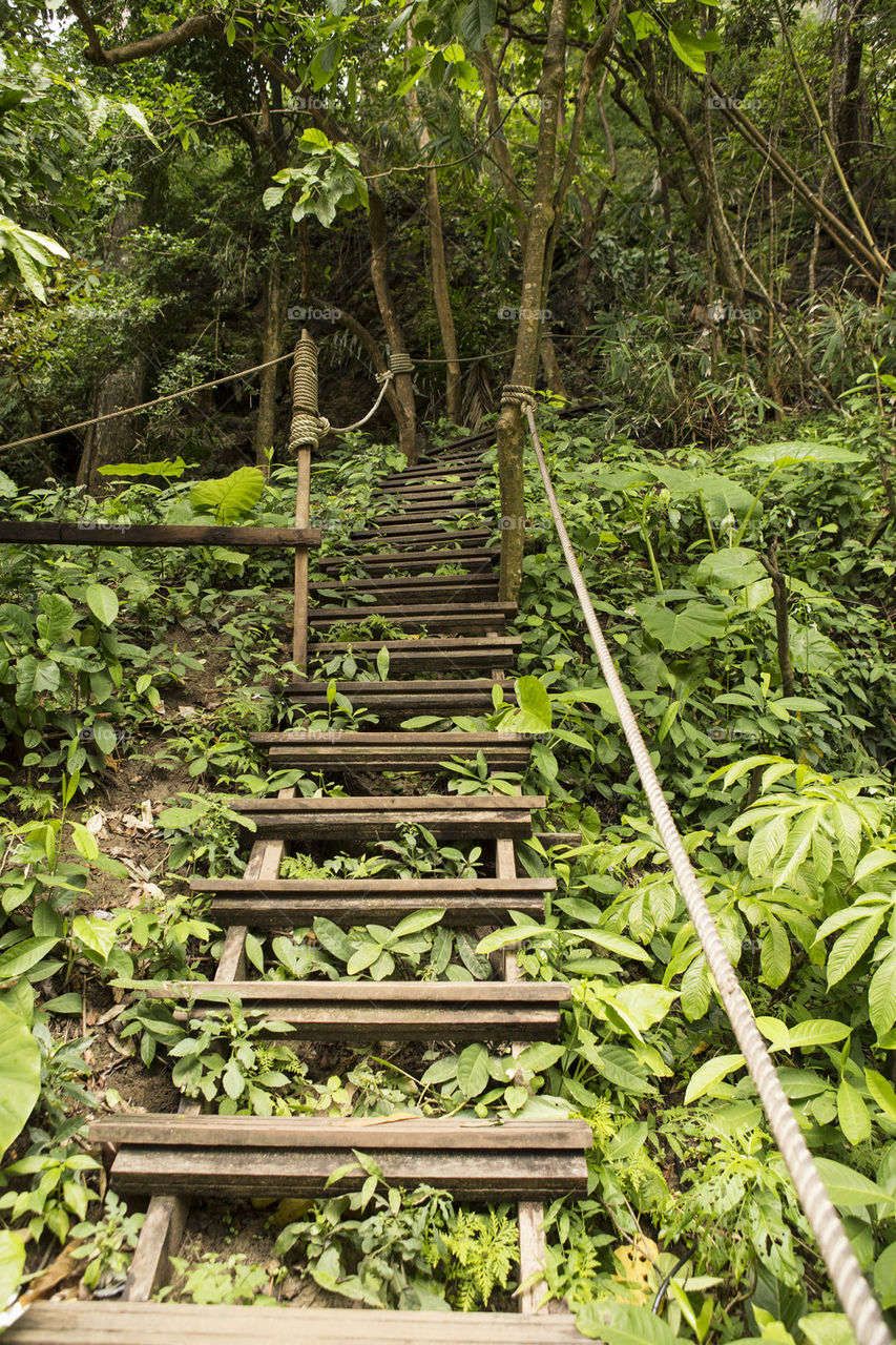 hiking the monkey trail