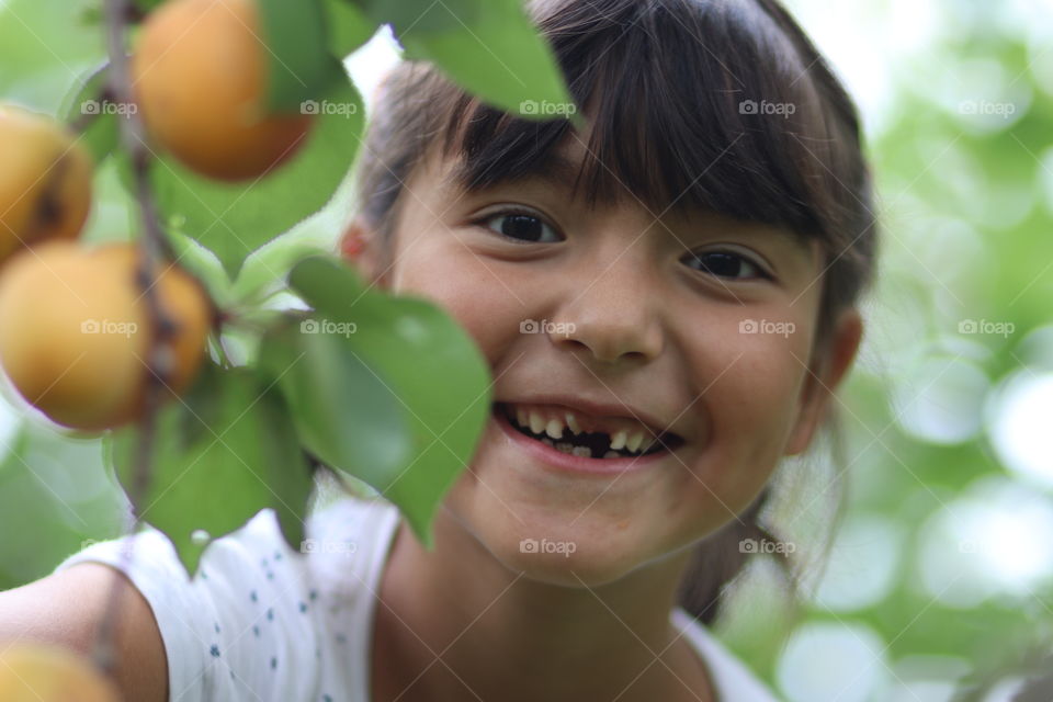 Cute little girl and apricot tree
