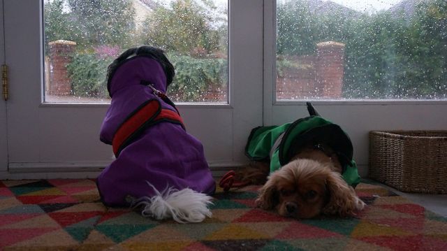 Raining