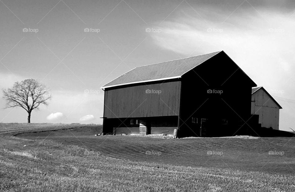 barn