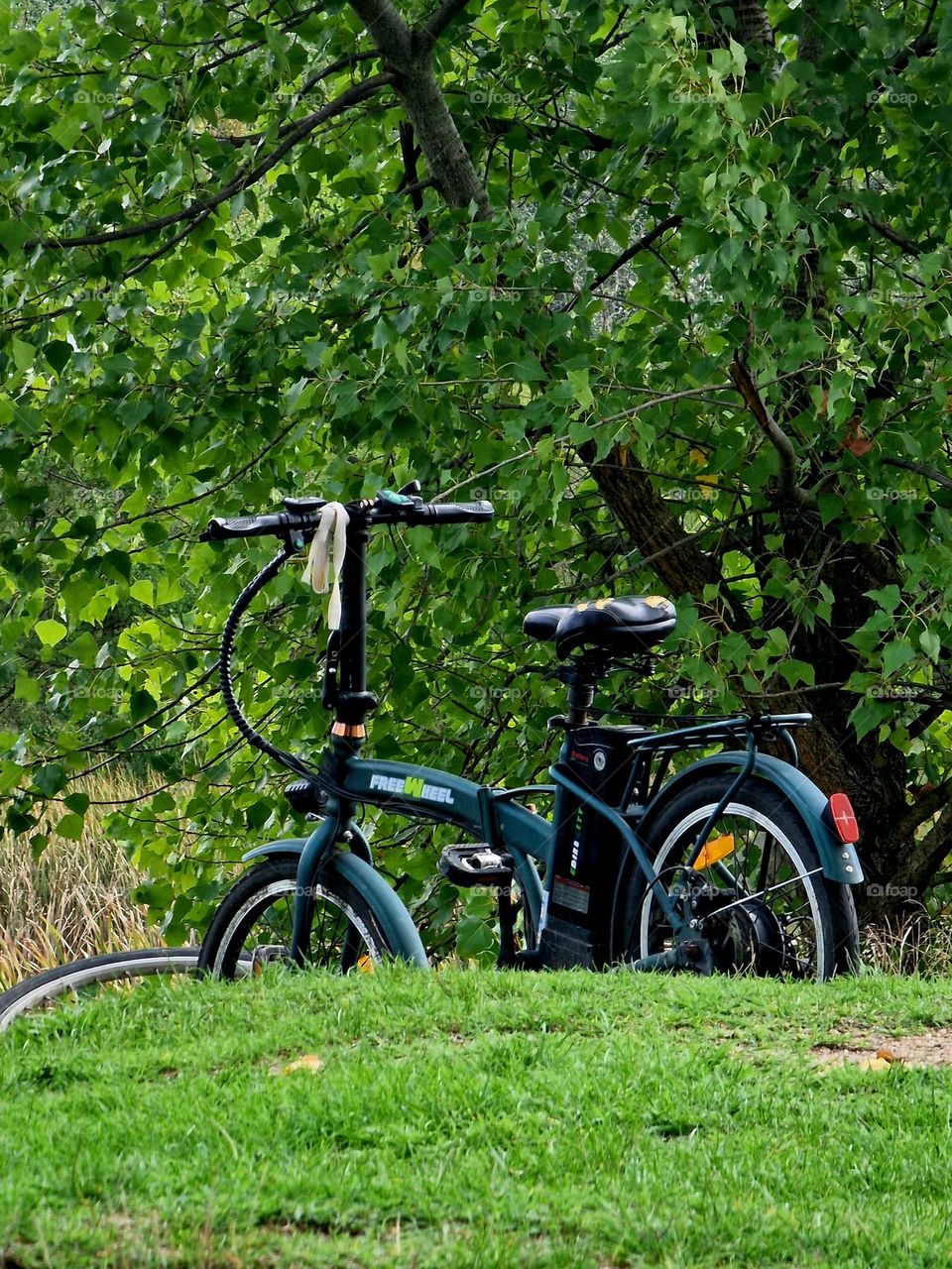 by bike in nature