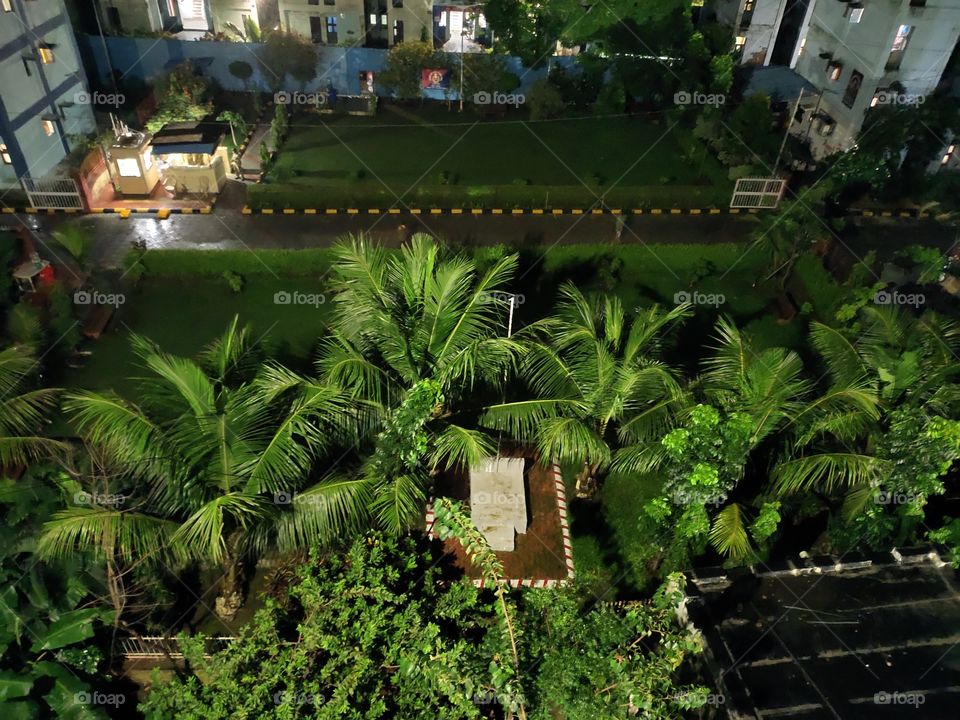 Snap from Roof
Beauty of Flora 🌴
Night Scene🌌🌌🌌
Cityscape Mode