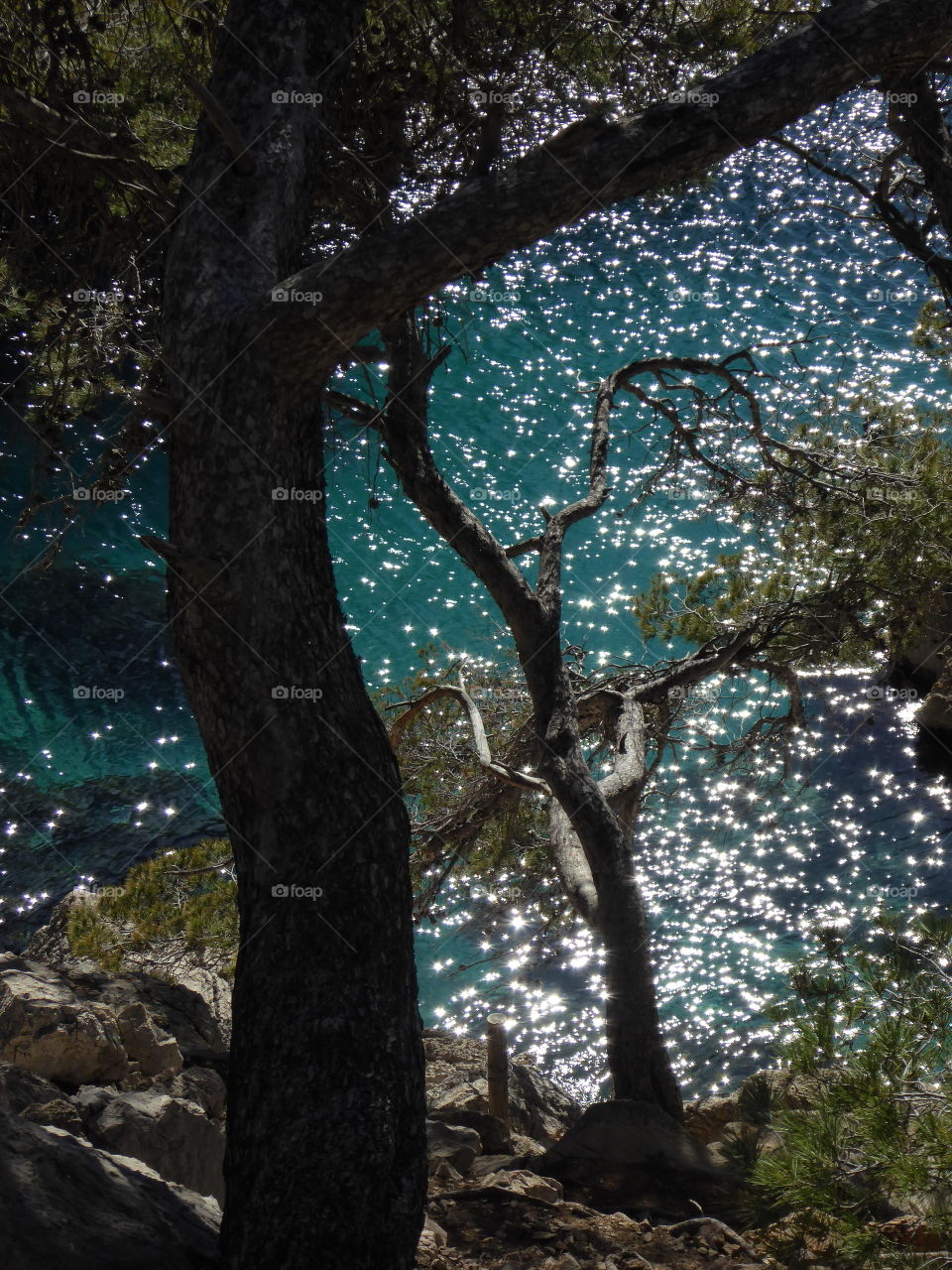 Marseille, France Led Calanques national park