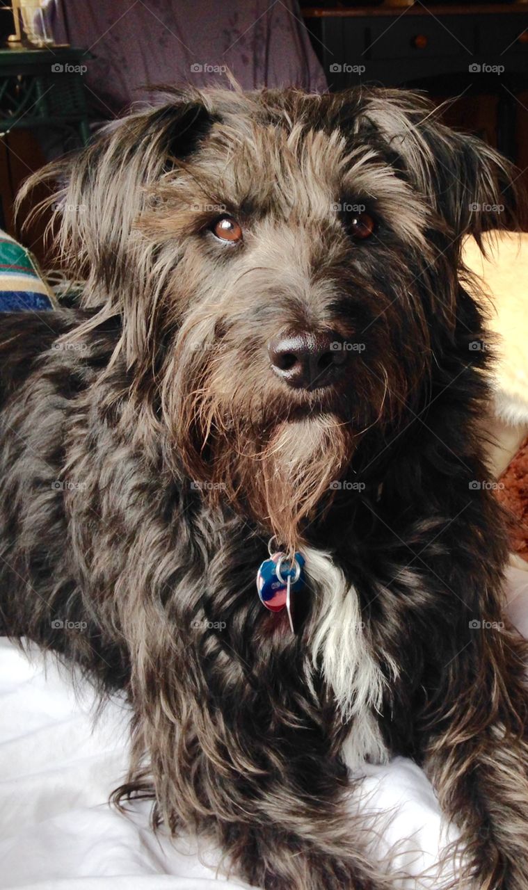 Eyes of the traveler