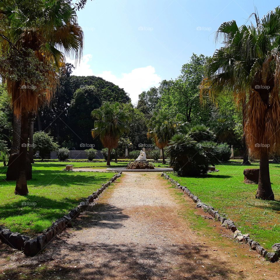 A park in the city center of Palermo