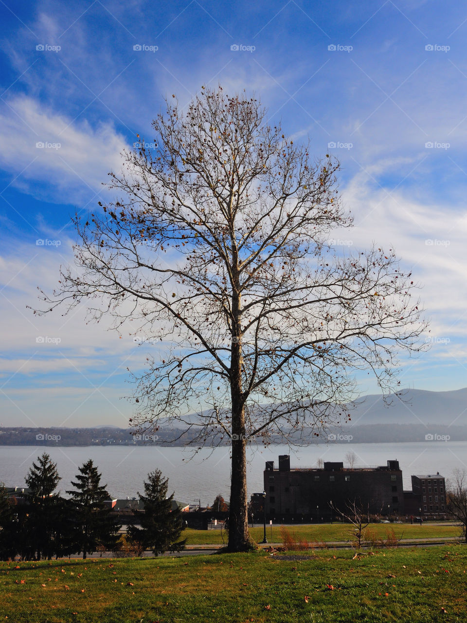 newburgh ny sky blue tree by delvec