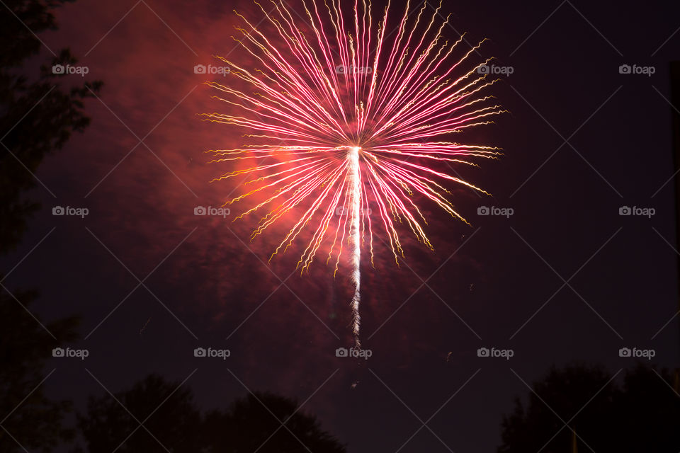 Single firework explosion in night sky with trees shadows.