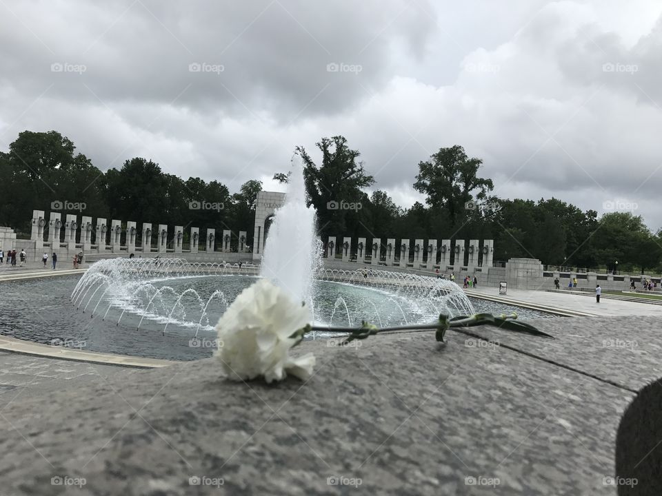 Flower at memorial 