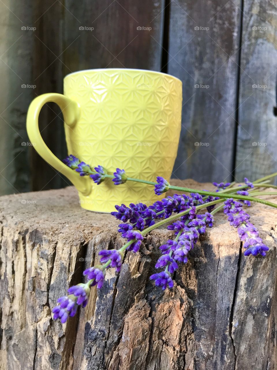 Yellow coffee mug/cup on the old log of wood with some purple lavender flowers laid out beside the cup.