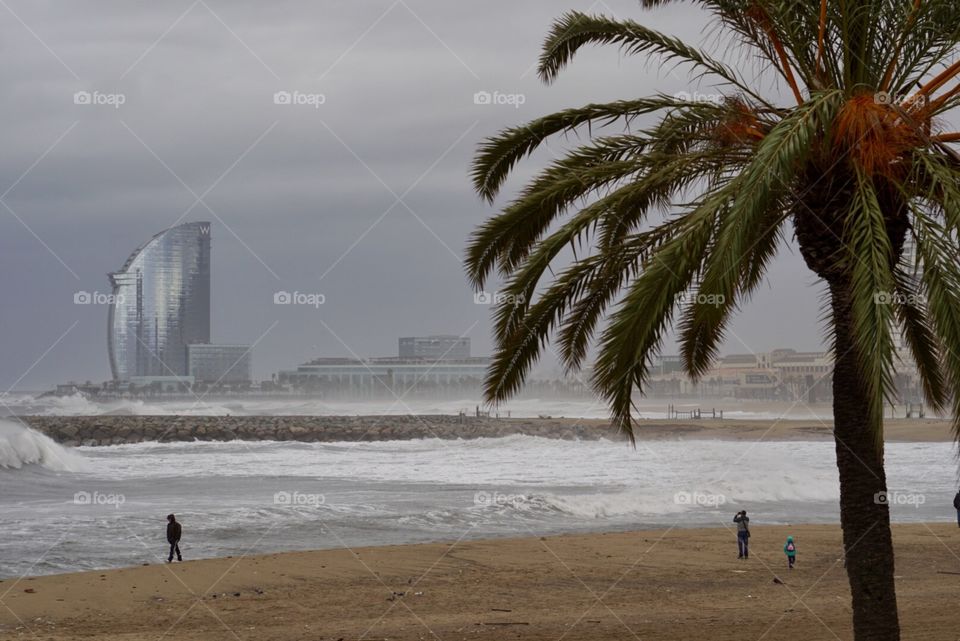 Mediterranean Winter