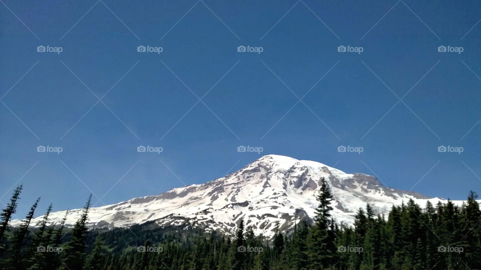 Mt. Rainier. June 2015