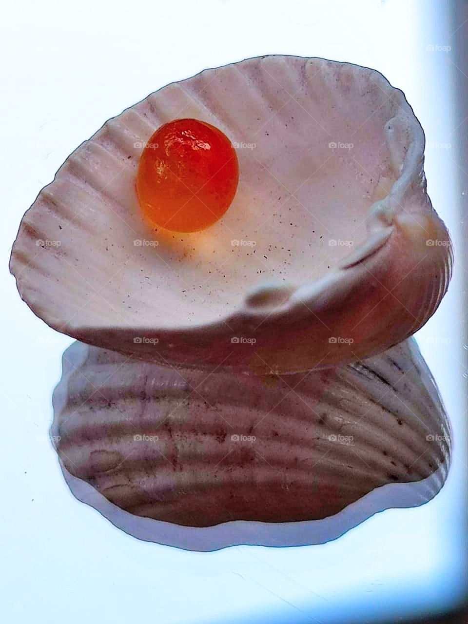 Red color.  Red caviar on a seashell