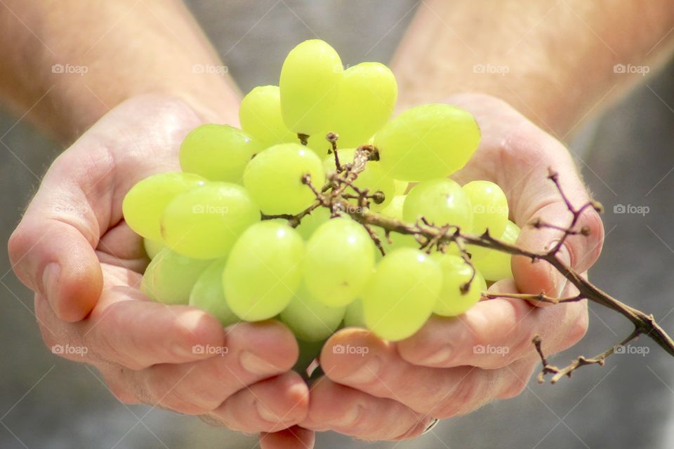 Grapes 🍇