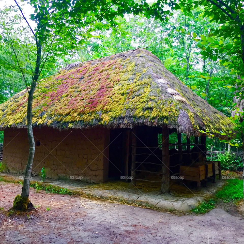 Rural cottage
