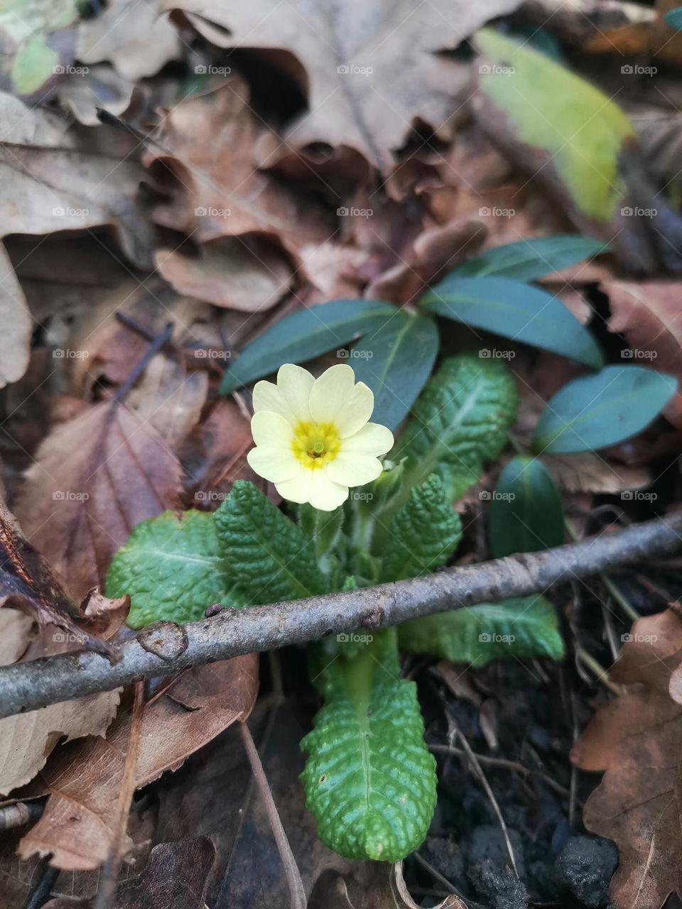 at the end of the year