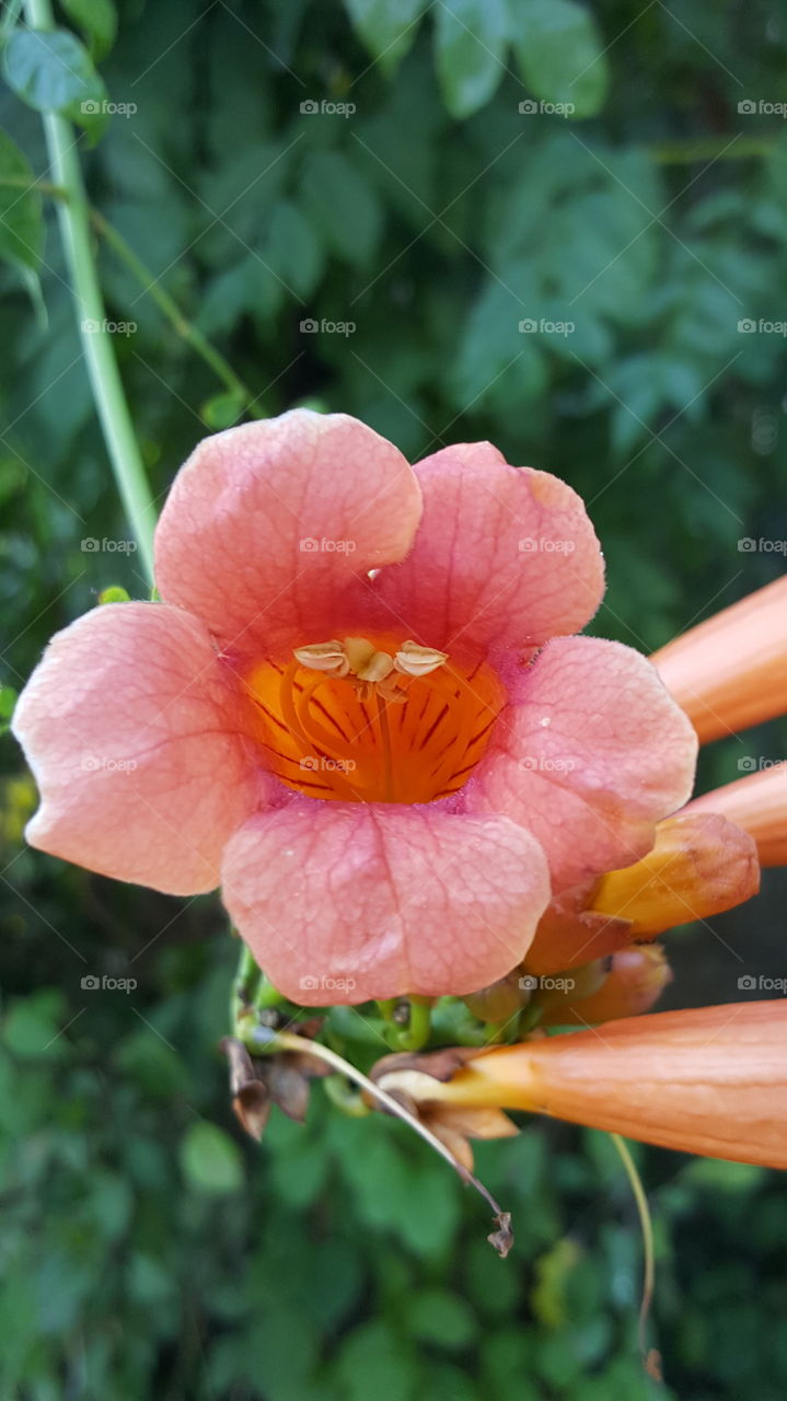 Gardening up close