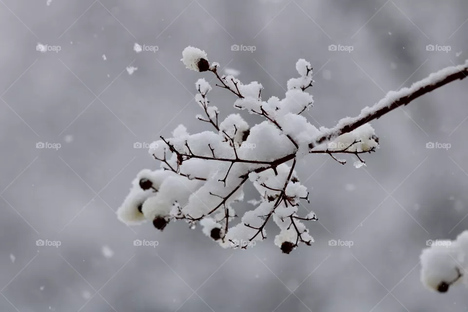 Oklahoma snow 