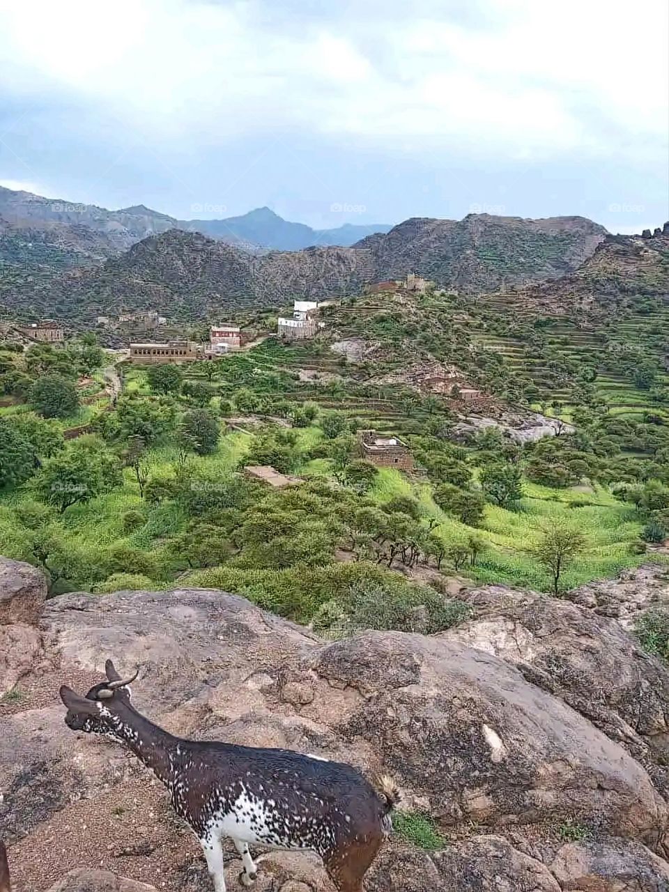 Glory be to God, the magnificent and picturesque view and the natural green trees are a view that is nothing more wonderful than it