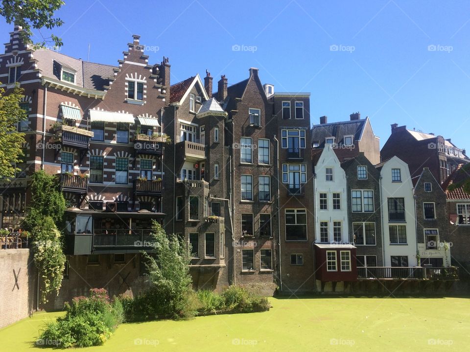 Beautiful street in Rotterdam