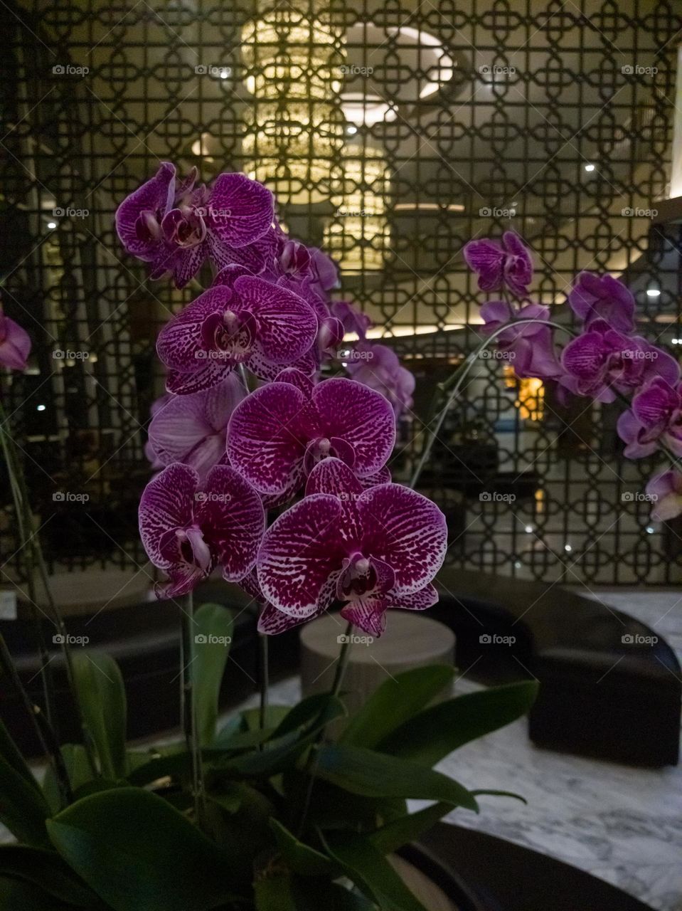 a red orchid moon in the lobby