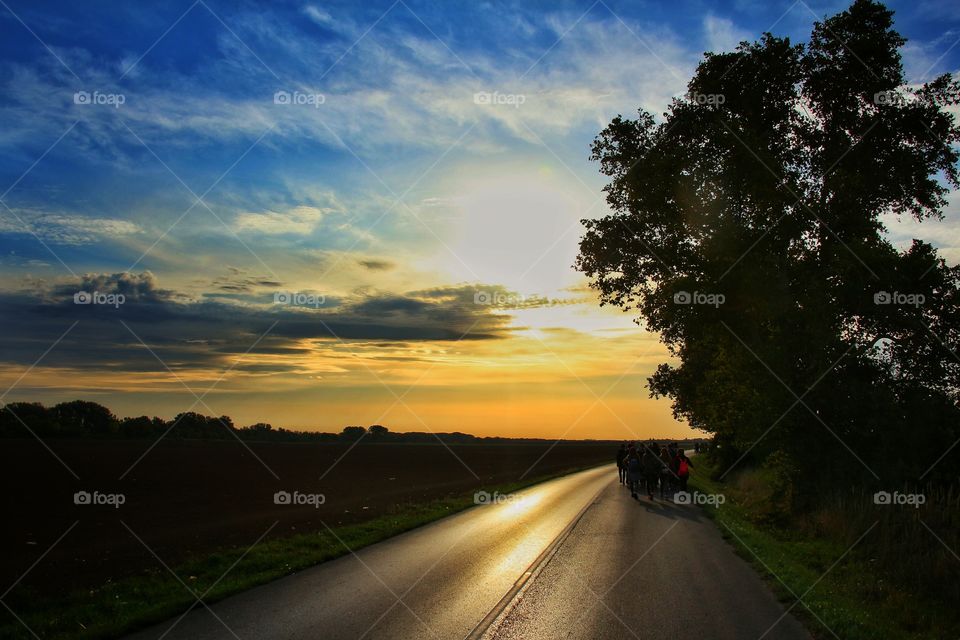 Road Without end. Slavonija, Republic of Croatia.