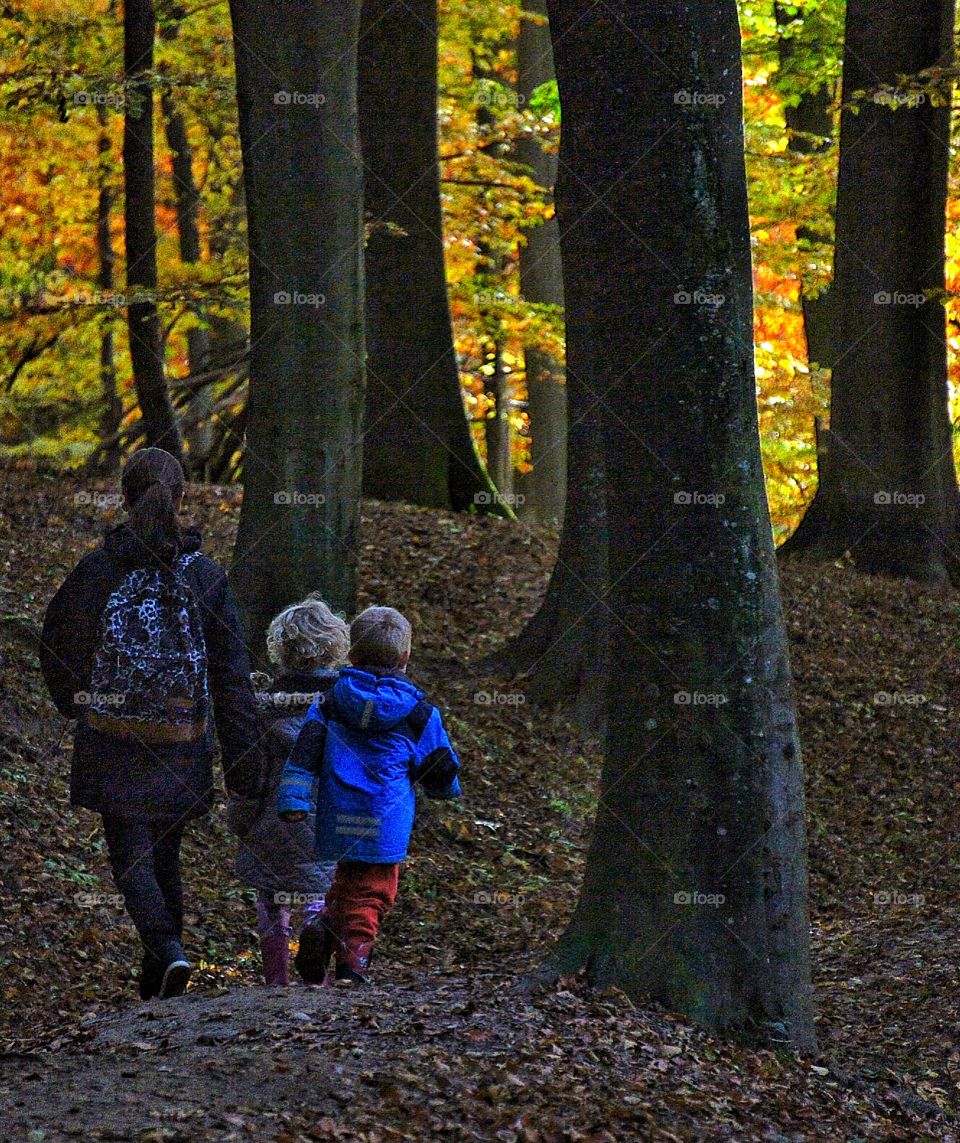 Playing in the Woods