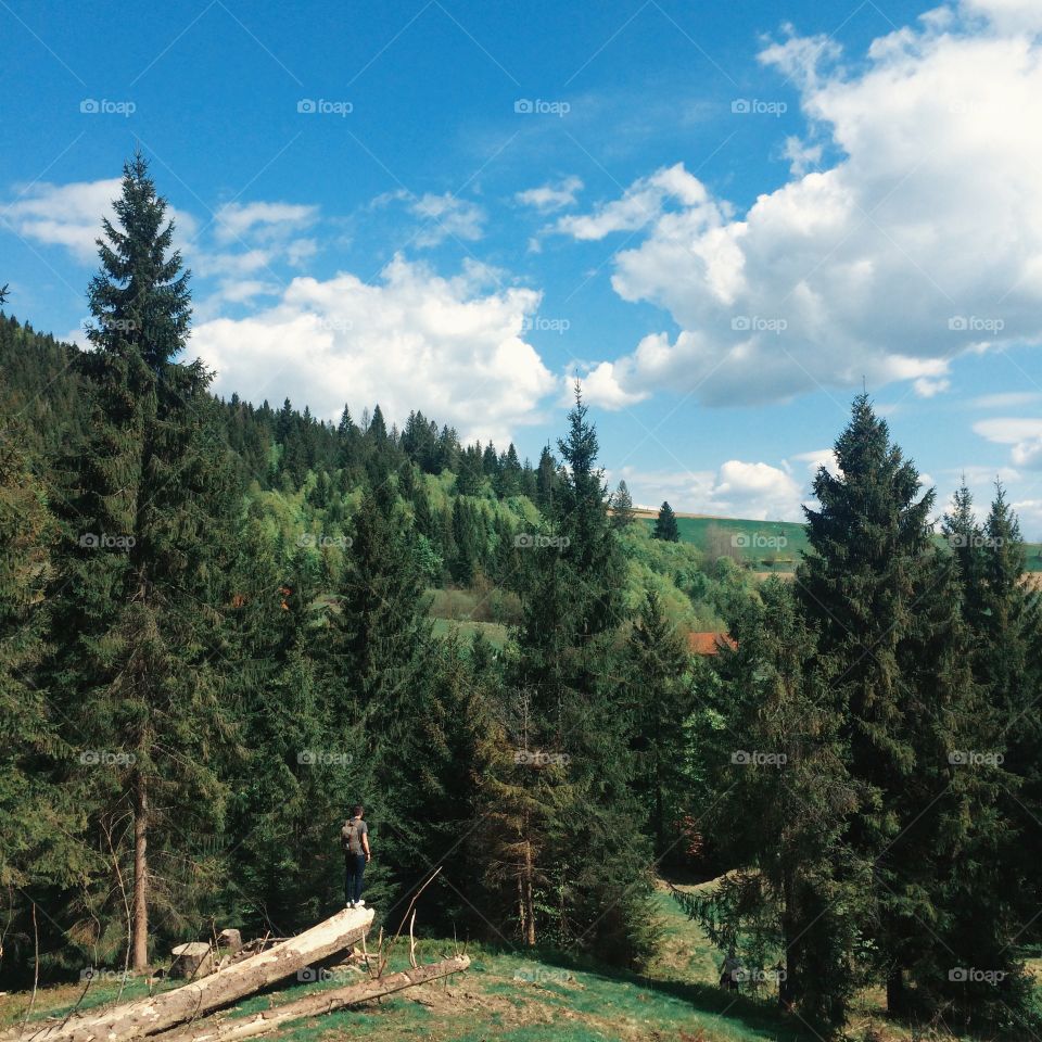 Carpathian landscape at forest 