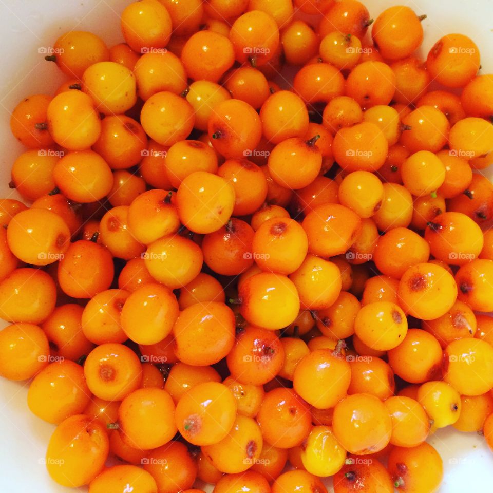 Buckthorn - orange goodness 