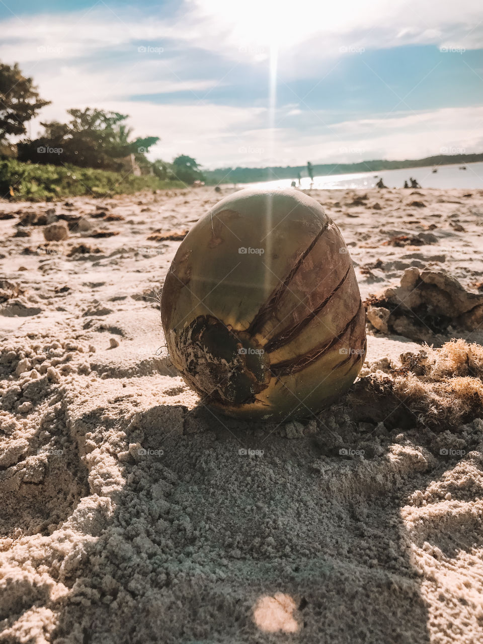 Coconut the beach coroa vermelha Bahia Brasil 🇧🇷