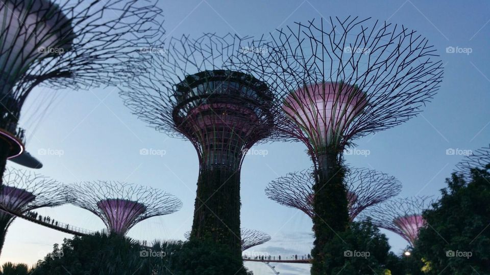 Singapore