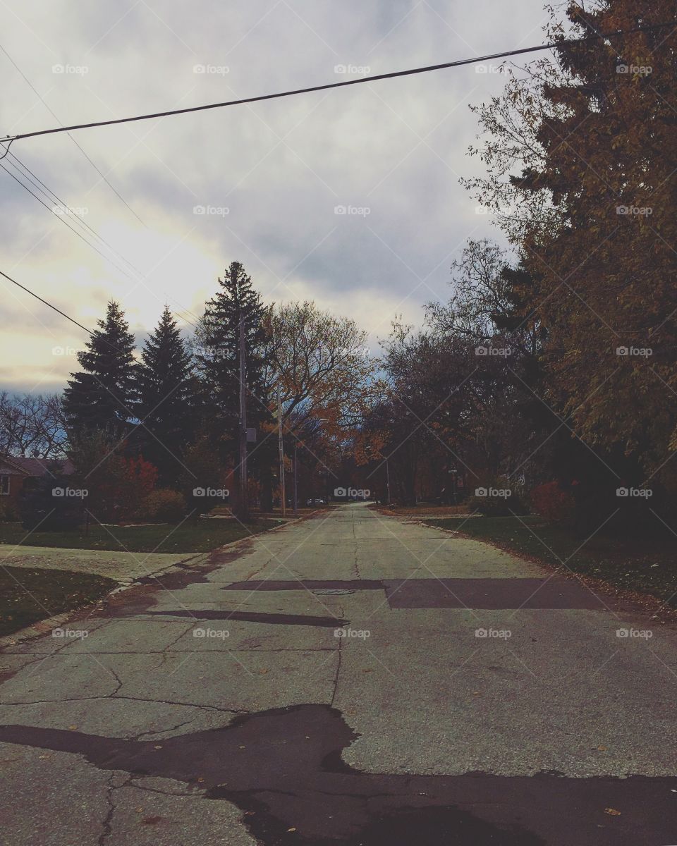 Road, Tree, Landscape, No Person, Street