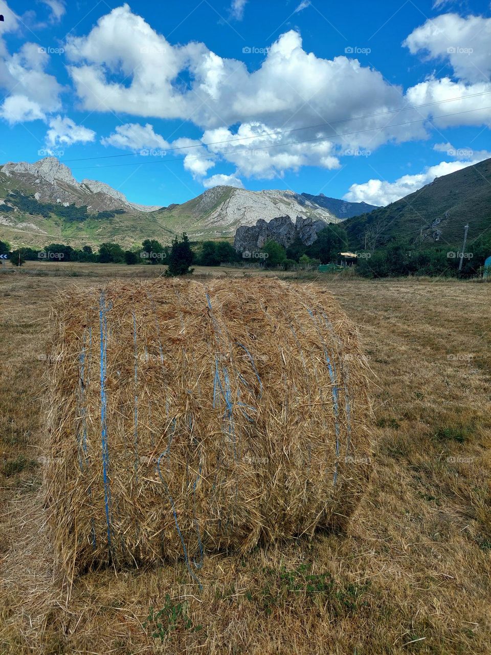 Feeling the countryside