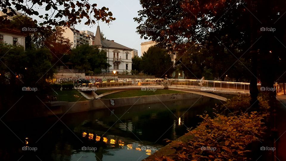 one of many ljubljanica's bridges