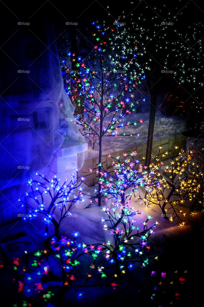 Christmas lights